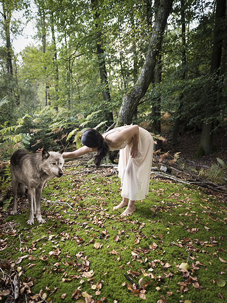 Fee und Wolf im wald